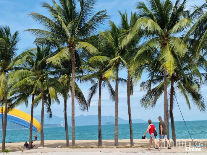 Con đường ven bờ sóng