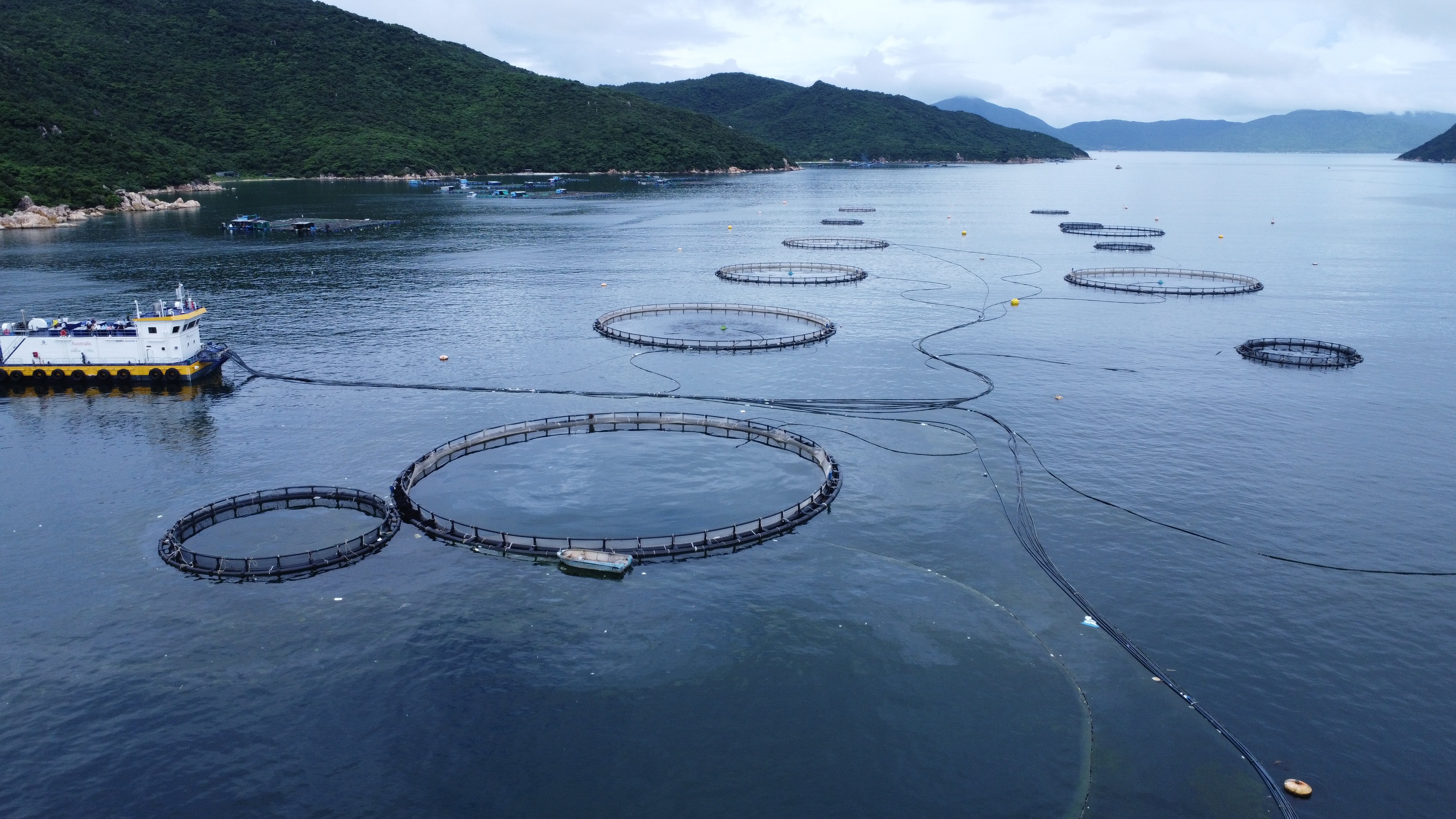 Chào mừng Ngày Khoa học và Công nghệ Việt Nam 18-5: Khoa học và công nghệ là động lực quan trọng để phát triển kinh tế biển