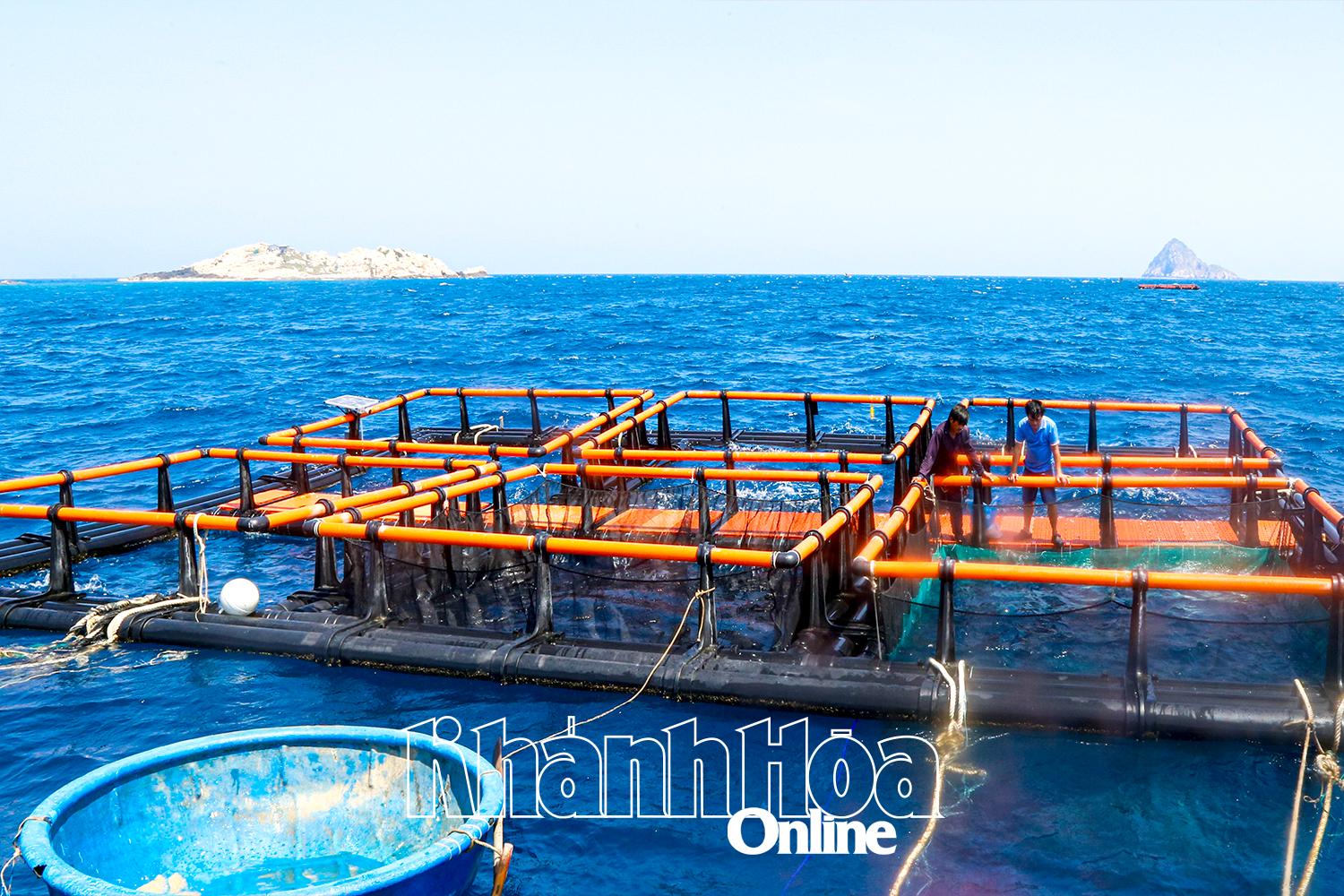 Tiên phong nuôi biển xa bờ