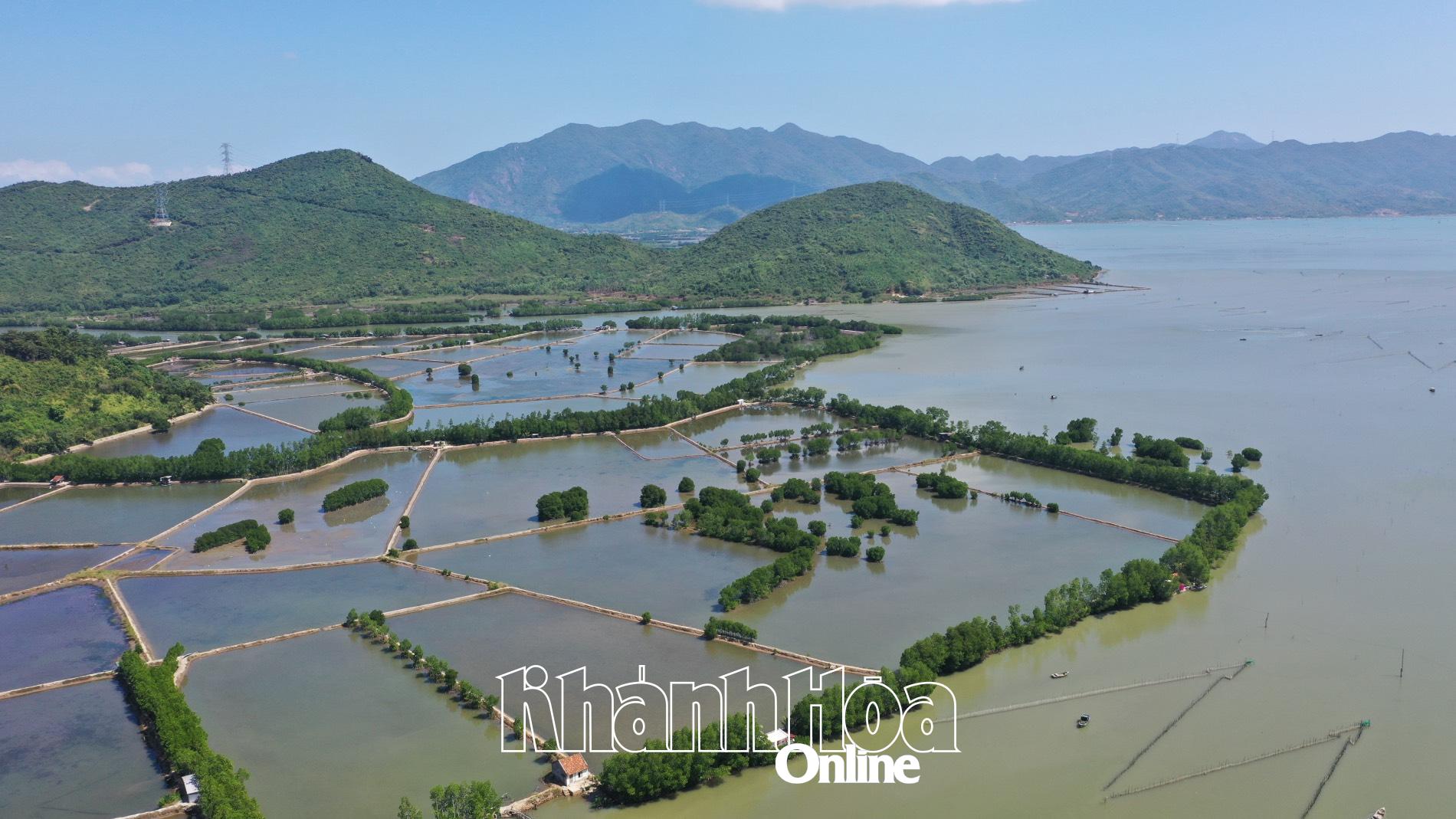 Triển khai kế hoạch thích ứng với biến đổi khí hậu