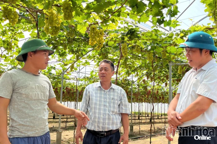 Phát triển nông nghiệp thích ứng biến đổi khí hậu từ “3 trụ cột”