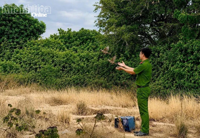 Công an xã Vĩnh Hải thu giữ hàng chục mét lưới “tàng hình” bẫy chim