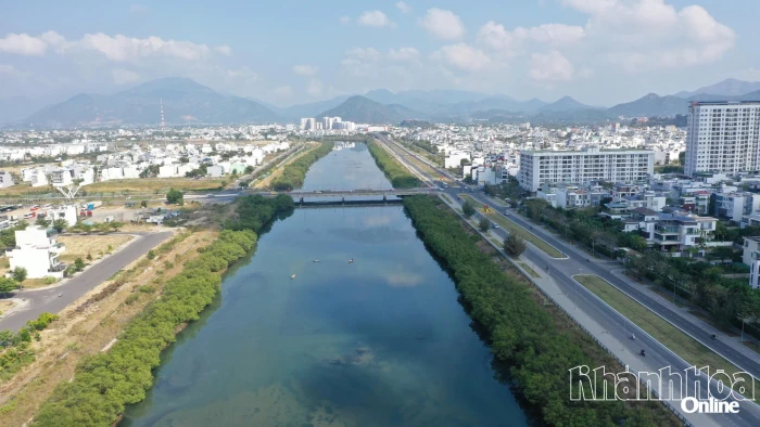 Khẩn trương thực hiện phương án phát quang, loại bỏ hàng cây không có trong thiết kế ở Dự án Chỉnh trị hạ lưu Sông Tắc - sông Quán Trường