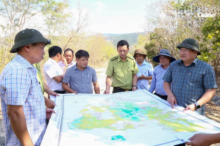 Phó Chủ tịch UBND tỉnh Trịnh Minh Hoàng kiểm tra công tác phòng cháy, chữa cháy rừng tại 4 đơn vị