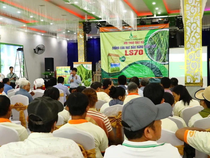 Hội thảo đầu bờ đánh giá giống lúa thuần LS70