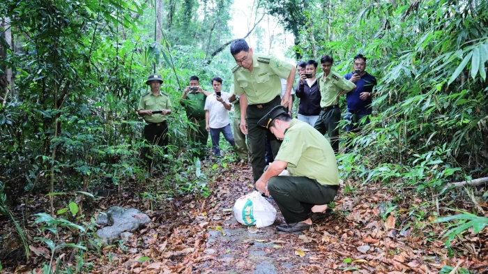 Thả 1 cá thể trăn gấm về môi trường tự nhiên