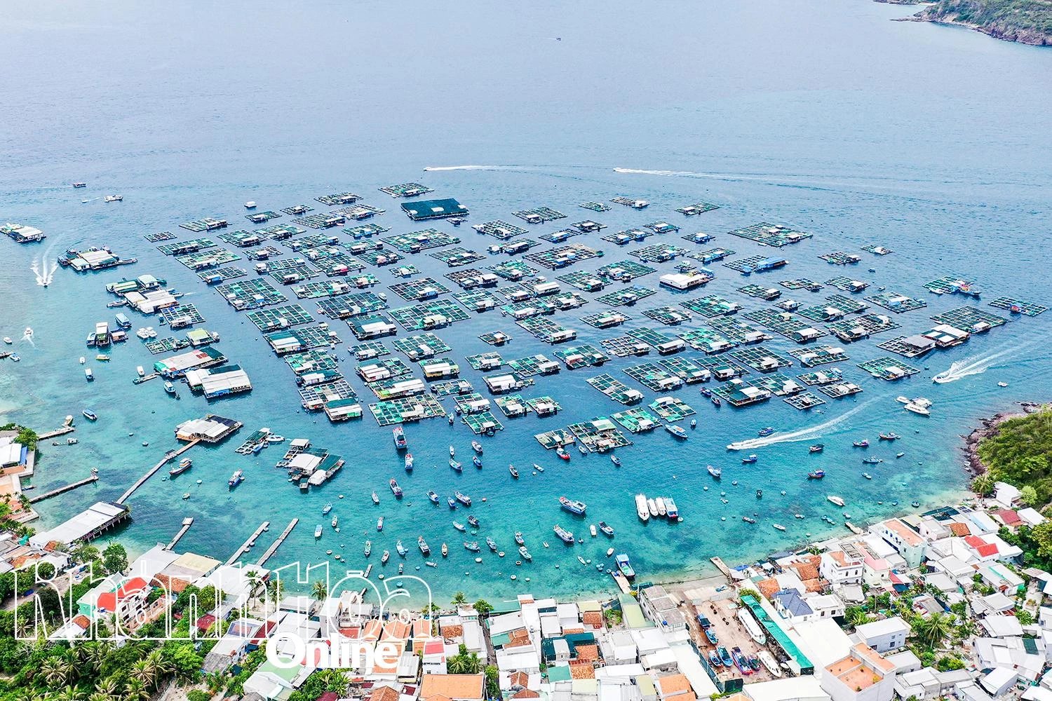 Những bí thư của làng biển