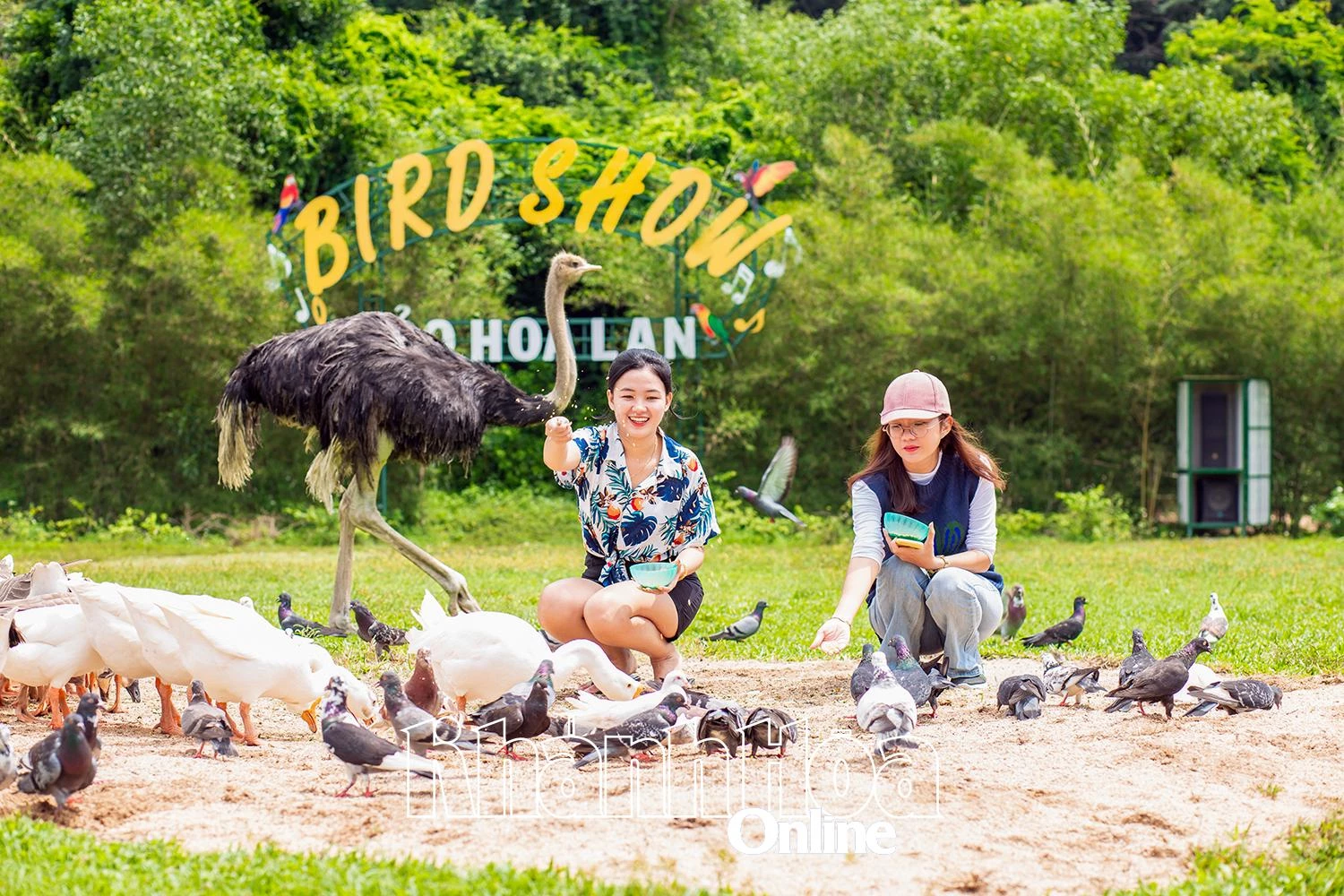 Kinh tế tăng trưởng, tạo tiền đề cho sáp nhập