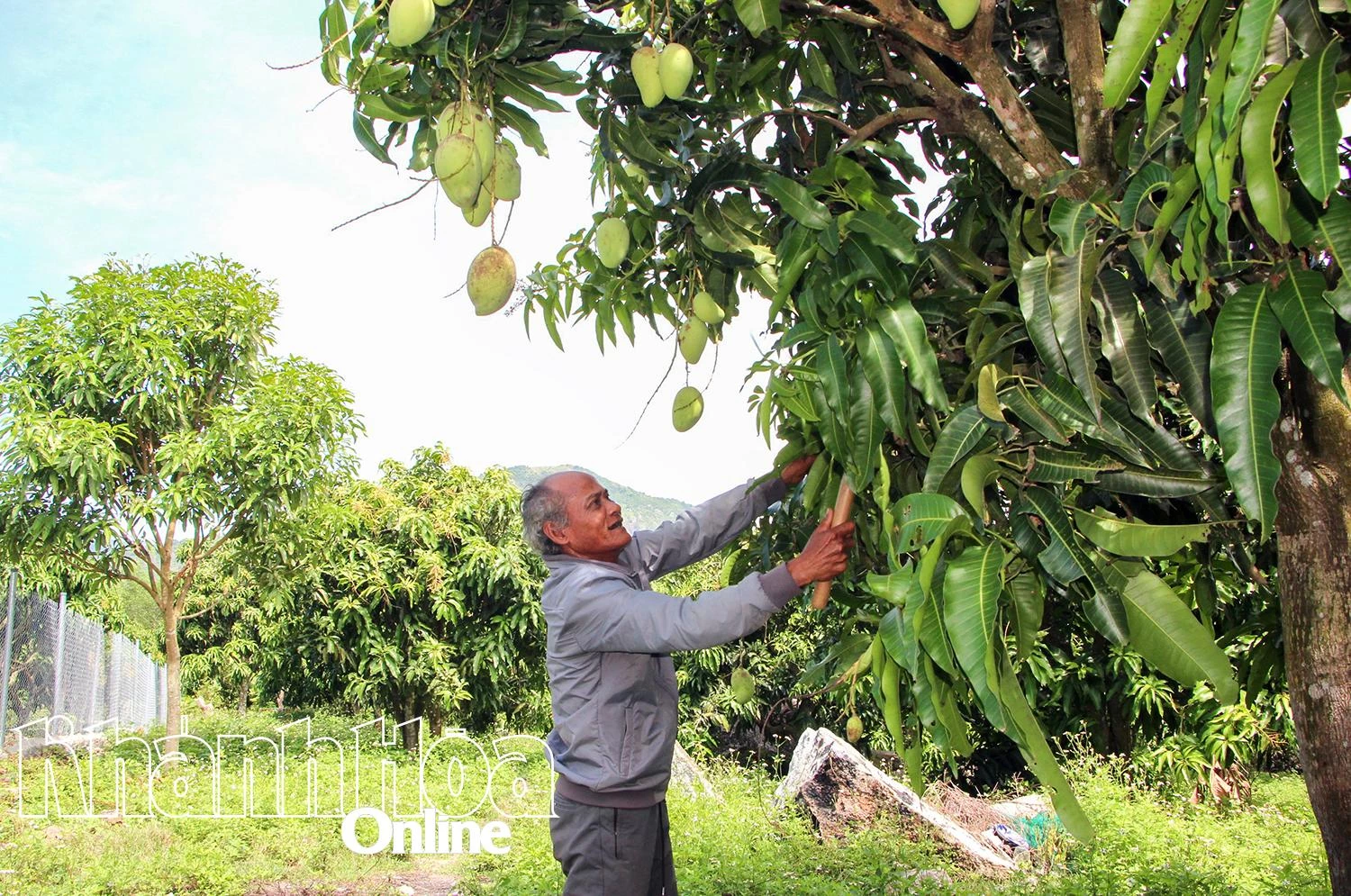 Cam Lâm: Chăm lo đời sống đồng bào dân tộc thiểu số