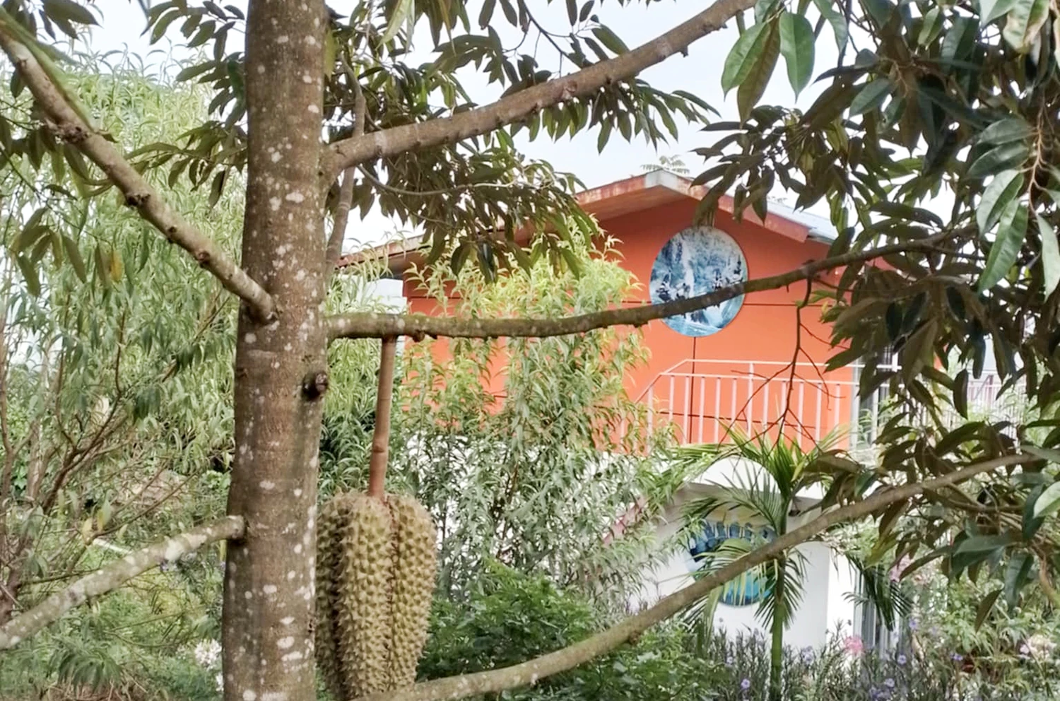 Tiếng hát trên đồi