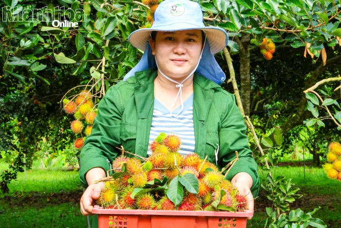 Tăng cường quản lý mã số vùng trồng và cơ sở đóng gói nông sản