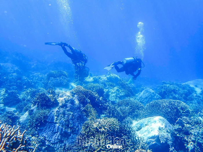 Giữ gìn “kho báu” của biển