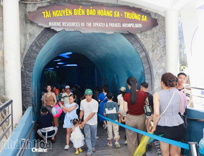 Camera gián đoạn ghi hình tại Bảo tàng Hải dương học là do mất điện