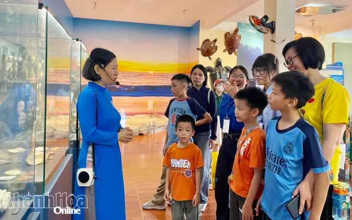 Hiểu để yêu biển từ những điều gần gũi nhất