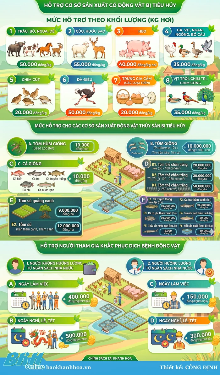 Triển khai chính sách hỗ trợ khắc phục dịch bệnh động vật
