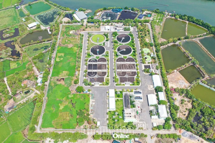 Hưởng ứng Ngày Môi trường thế giới (5-6) và Tháng hành động vì môi trường 2026: Bảo vệ môi trường để phát triển bền vững