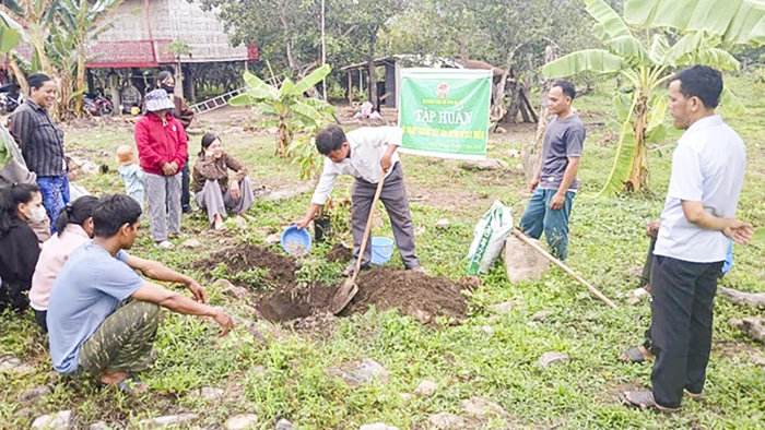 Hội Nông dân xã Bác Ái Tây tập huấn kỹ thuật trồng sầu riêng và điều cho hội viên
