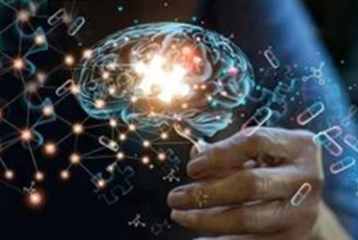 Phát hiện cơ chế giúp não tự làm sạch, mở ra hy vọng chữa Alzheimer