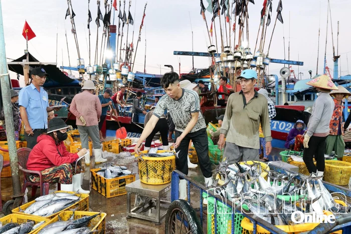 Ứng dụng công nghệ số vào giám sát, truy xuất nguồn gốc thủy sản