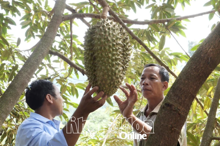 Khai thác tiềm năng phát triển kinh tế nông nghiệp vùng miền núi Bác Ái