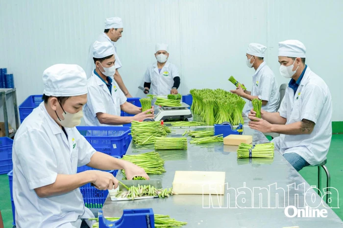 Nông nghiệp Khánh Hòa đón thời cơ mới