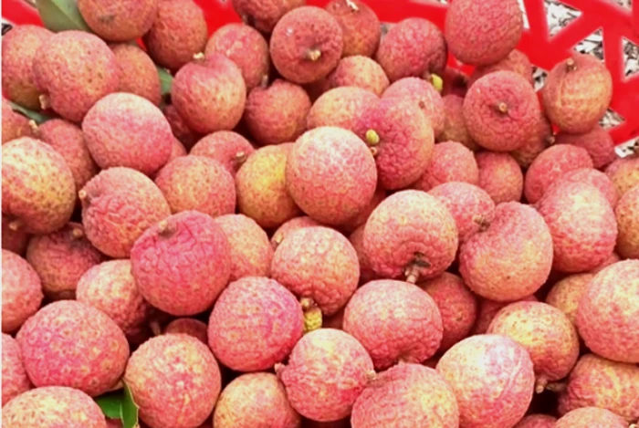 Bí quyết bảo quản quả vải tươi cả tháng