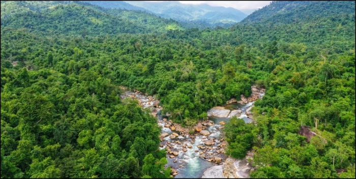 Mời gọi đầu tư du lịch sinh thái tại rừng phòng hộ Ninh Hòa - Vạn Ninh