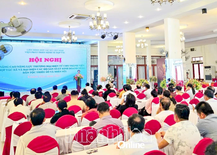 Liên minh Hợp tác xã Khánh Hòa: Tập huấn về nâng cao năng lực thương mại điện tử