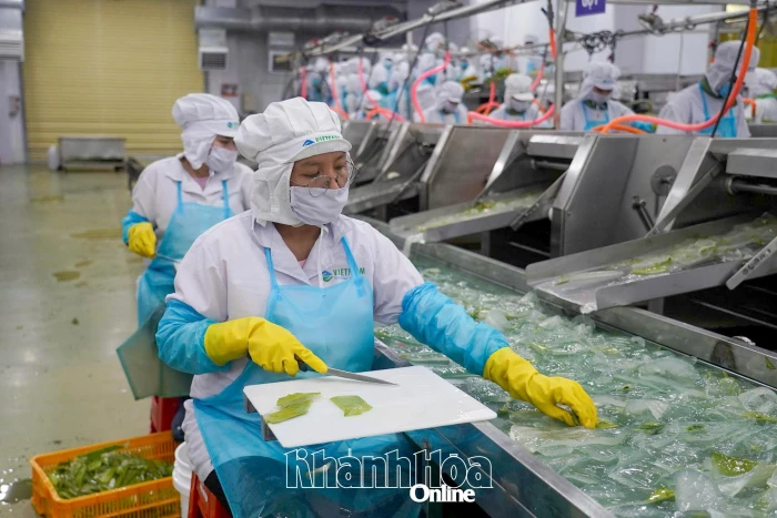 Thúc đẩy phát triển thương mại điện tử: Sôi động trên nền tảng số