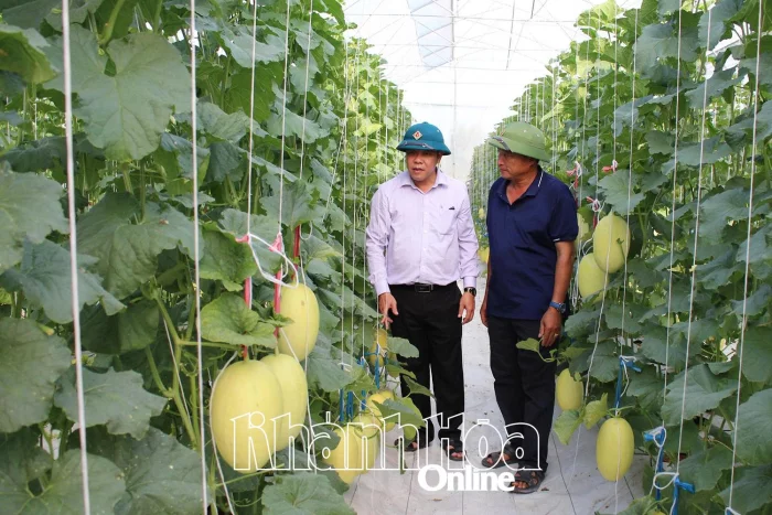 Nông nghiệp công nghệ cao phát huy hiệu quả trên vùng nắng hạn