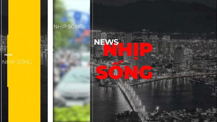 Nhịp sống 24/7 ngày 25-7-2026