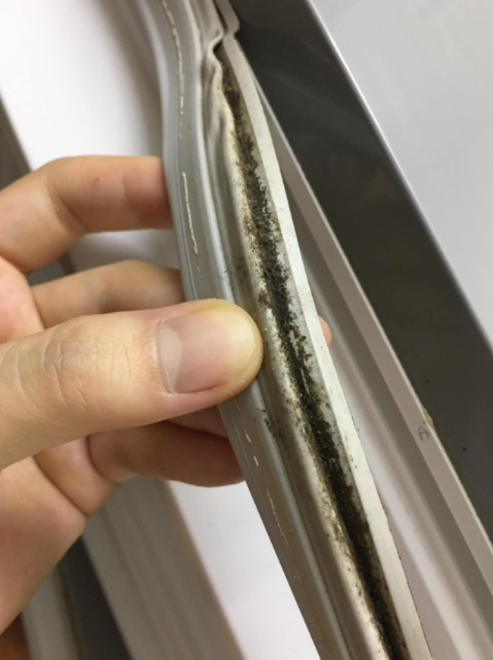 Mẹo giúp loại bỏ mảng mốc đen và mùi hôi gioăng cao su tủ lạnh