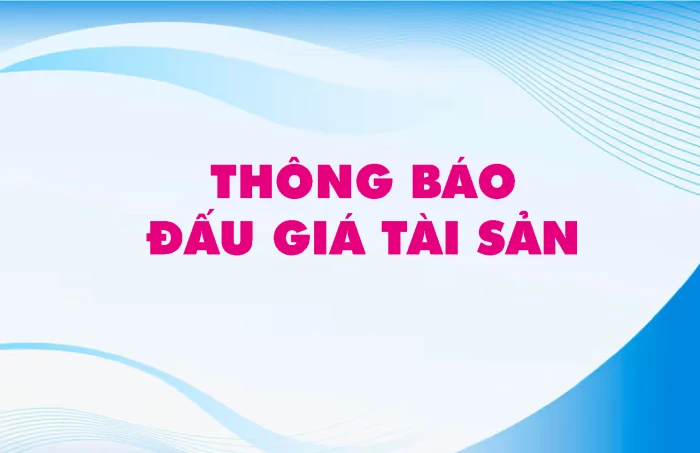 Công ty Đấu giá Hợp danh Vạn Thiên Phước thông báo đấu giá tài sản