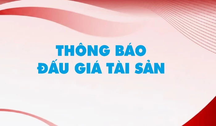 Công ty đấu giá hợp danh Lam Sơn Sài Gòn thông báo đấu giá tài sản