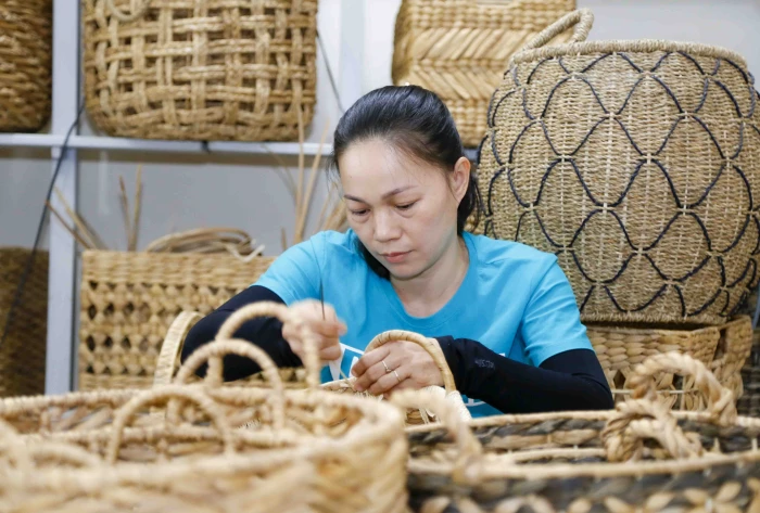 Phấn đấu đưa doanh thu bình quân của mỗi hợp tác xã nông nghiệp đạt từ 2 tỷ đồng/năm trở lên