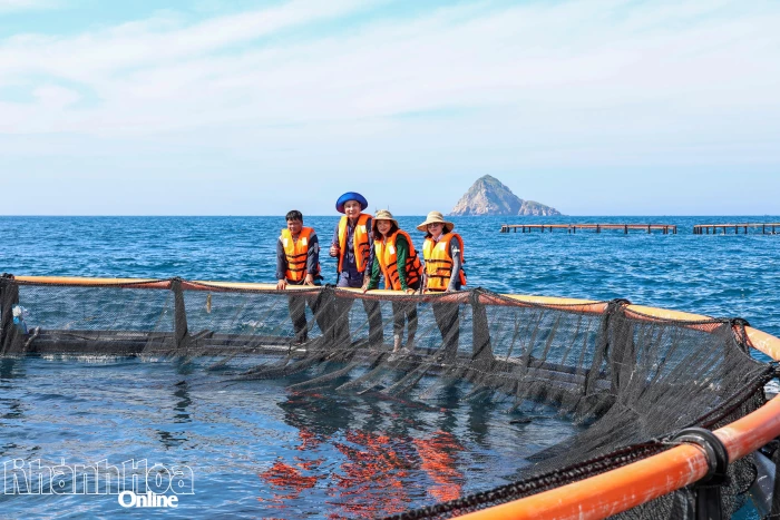 Thành lập các tổ hỗ trợ thực hiện nông thôn mới trong trong lĩnh vực thủy sản