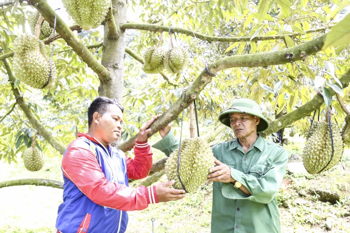 Xã Tây Khánh Sơn: Phát huy vai trò của người có uy tín