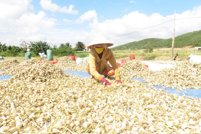 Chào mừng Đại hội đại biểu Đảng bộ xã Vạn Hưng lần thứ nhất, nhiệm kỳ 2025 - 2030: Phát huy lợi thế, đẩy mạnh phát triển công nghiệp, du lịch