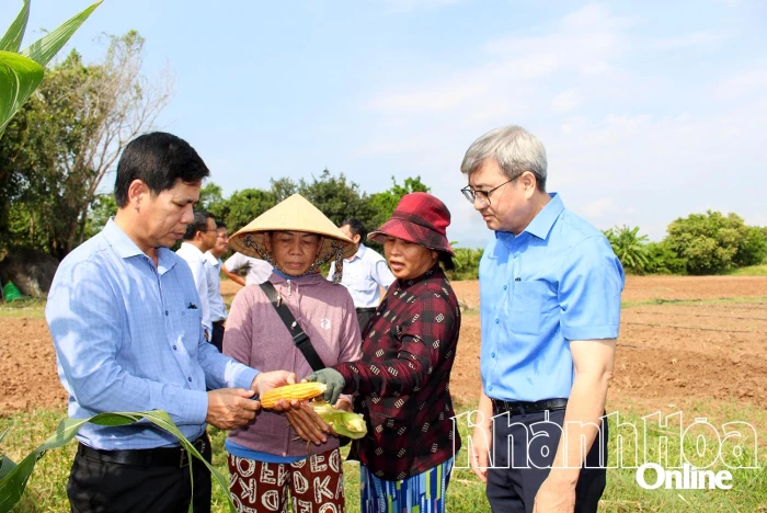 Dự án SACCR: Giúp đồng bào dân tộc thiểu số thay đổi tư duy canh tác