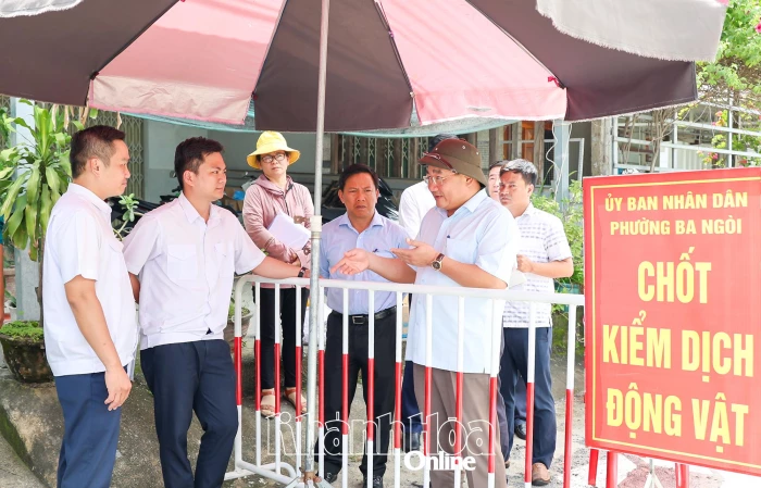Phó Chủ tịch UBND tỉnh Trịnh Minh Hoàng kiểm tra công tác phòng, chống dịch tả heo châu Phi tại phường Ba Ngòi