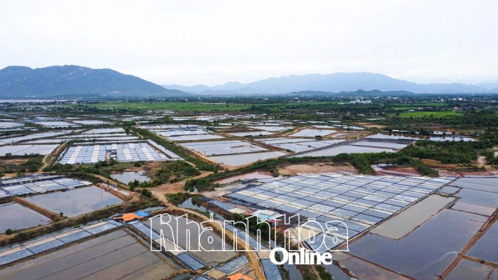 Dự án Khu Công nghiệp Dốc Đá Trắng: Nỗ lực giải phóng mặt bằng