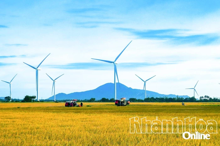 Hướng tới Đại hội đại biểu Đảng bộ tỉnh Khánh Hòa lần thứ XIX, nhiệm kỳ 2025 - 2030: Phát triển Khánh Hòa trở thành trung tâm năng lượng điện quốc gia