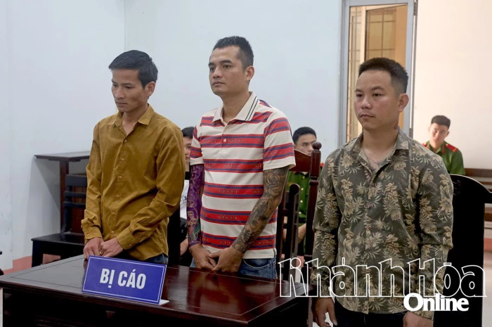 Góp tiền mua ma túy sử dụng, nhóm thanh niên vào tù