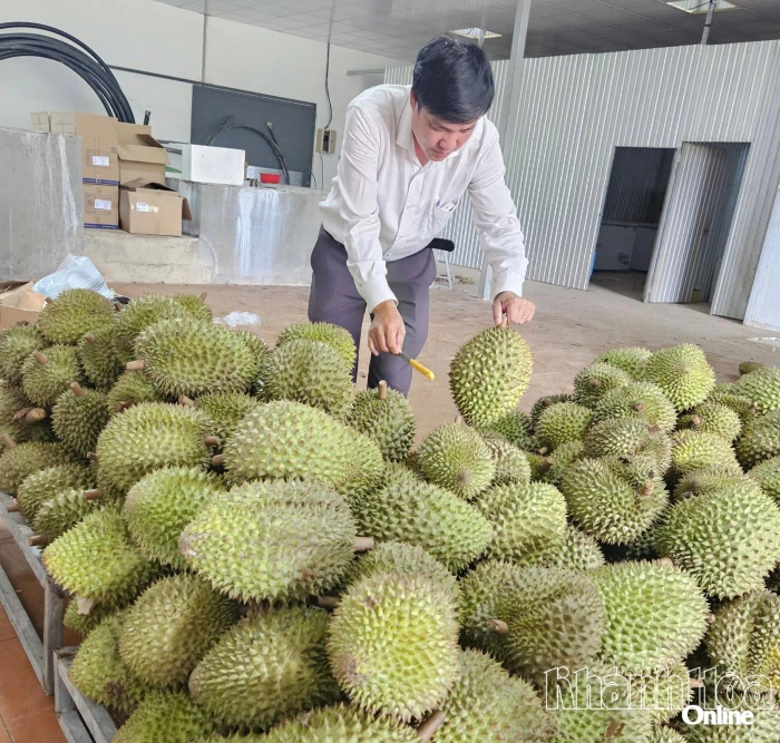 Mã số vùng trồng: Cam kết chất lượng của nông sản xuất khẩu