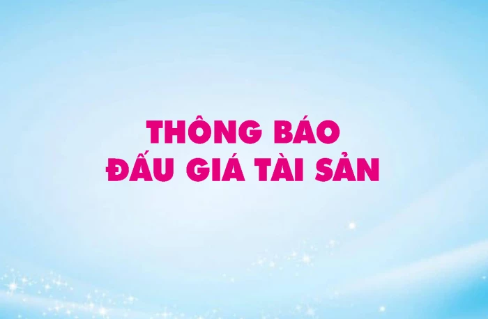 Công ty Đấu giá Hợp danh Vạn Thiên Phước thông báo đấu giá tài sản