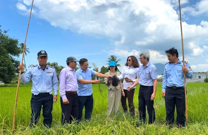 Phát hiện, xử lý 15 vụ giăng lưới tàng hình săn bắt chim yến và chim hoang dã
