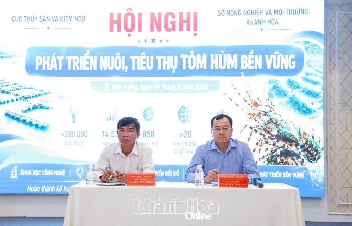 Tìm giải pháp phát triển nuôi và tiêu thụ tôm hùm bền vững