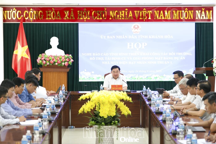 Gỡ từng vướng mắc để bảo đảm tiến độ Dự án Nhà máy Điện hạt nhân Ninh Thuận 1