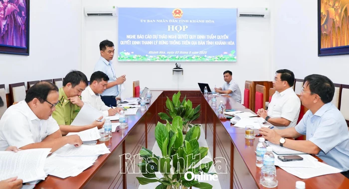 Thống nhất trình HĐND tỉnh Nghị quyết về thẩm quyền quyết định thanh lý rừng trồng