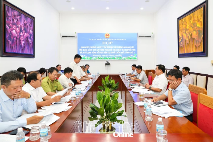 Khẩn trương khai thác lâm sản khu vực lòng hồ chứa nước Sông Chò 1